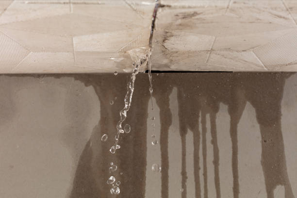 Professional Water Damage Inspection technician working in Roselle, NJ